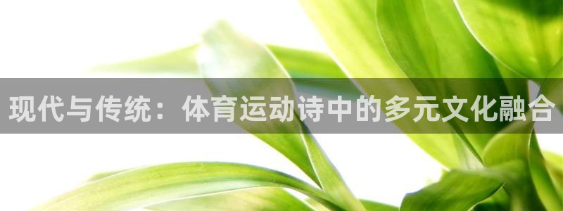 海南尊龙官网下载发展怎么样:现代与传统:体育运动诗中的多元文