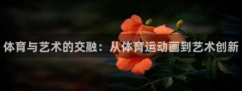尊龙官网下载注册:体育与艺术的交融:从体育运动画到艺术创新