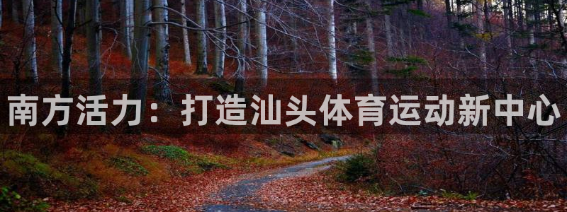 尊龙官网下载平台注册要钱吗是真的吗:南方活力:打造汕头体育运