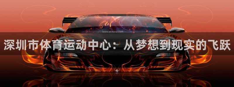 尊龙官方集团官网:深圳市体育运动中心:从梦想到现实的飞跃